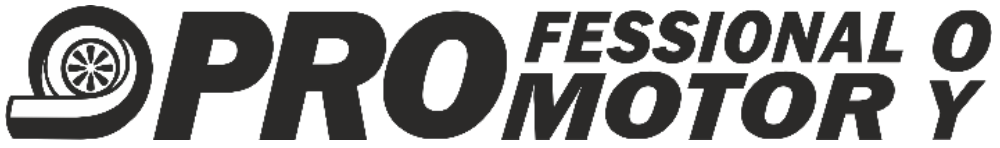 Professional_Motor_Oy_PNG_-_Logo